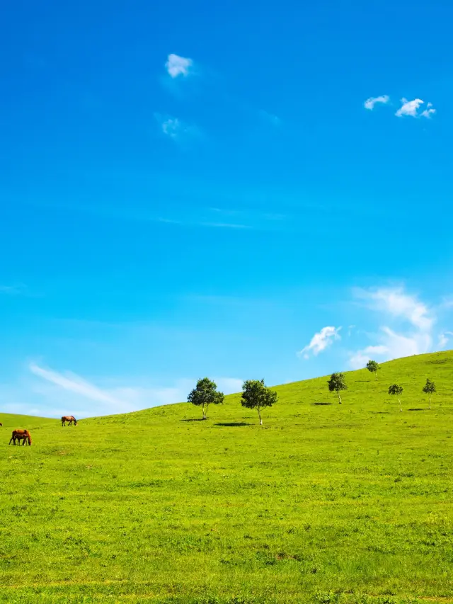 장가구 3일 여행 노년층 필수 여행 가이드