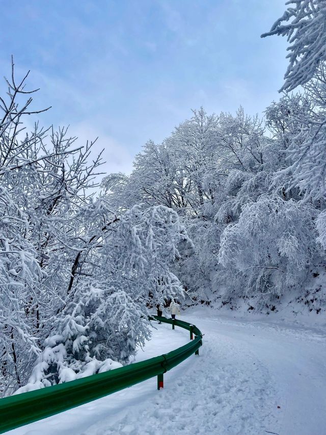 西安秦嶺｜最美不過的第一場雪景