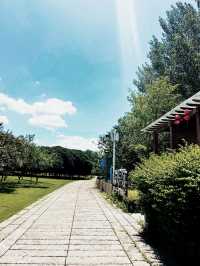 湖南衡陽東洲島‖衡陽八景之一