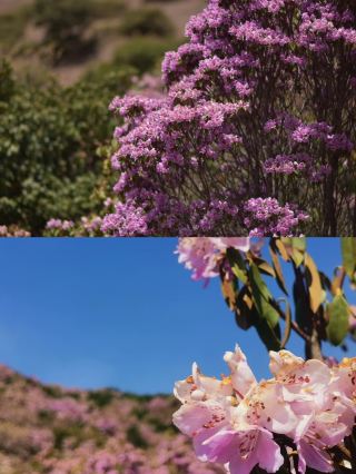 천년을 넘어, 량산 구커더의 신비로운 전설