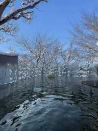 日本旅遊青森，比北海道更美的奇幻雪國