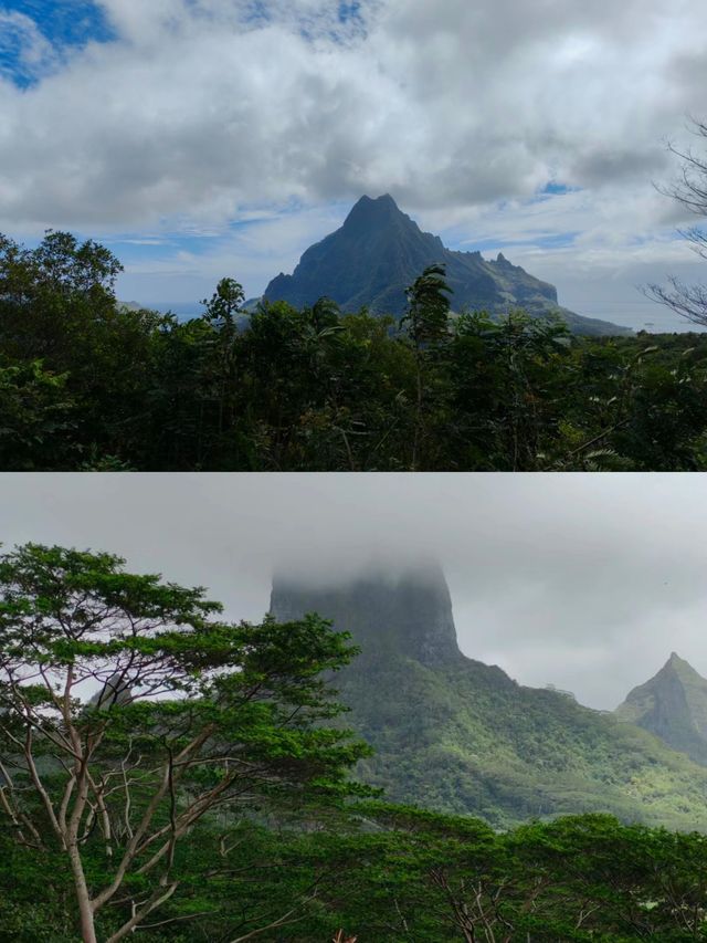 大溪地 茉莉亞島
