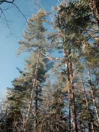 哈爾濱-延吉-長白山6日滑雪行 全程無憂冰雪美景等你來