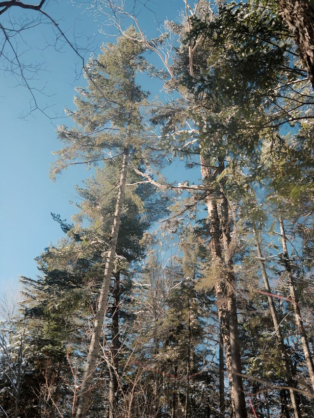 哈爾濱-延吉-長白山6日滑雪行 全程無憂冰雪美景等你來