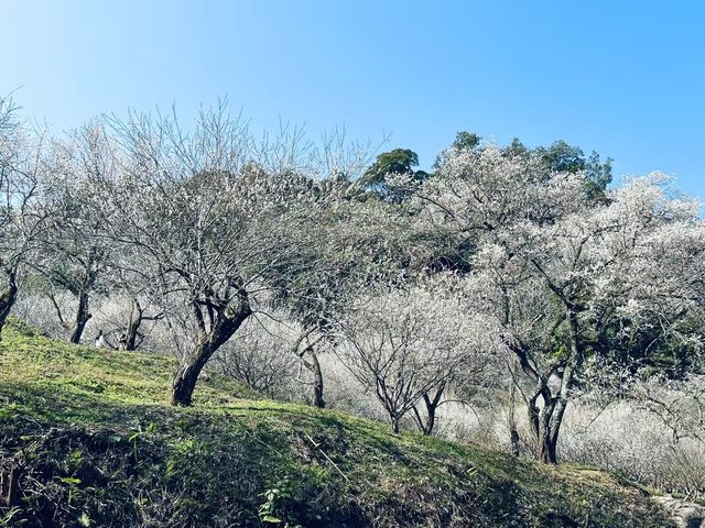 石門國家森林公園