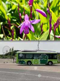 艾奇紀念公園遊記——城市中的綠洲