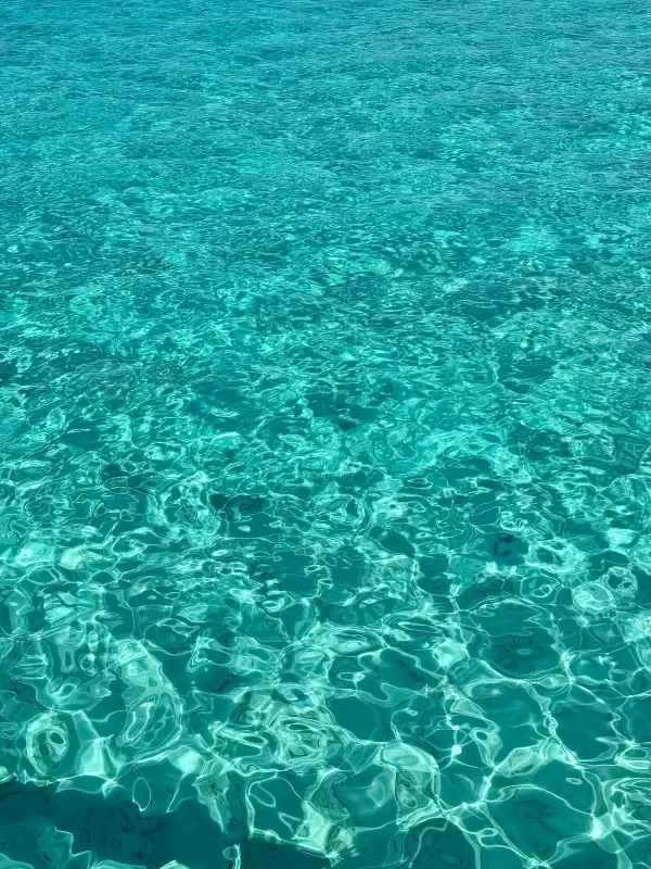 Discover the Beauty of Maldives with Exclusive Travel Tips