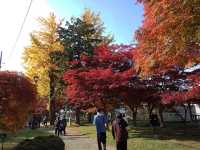邂逅盛岡城跡公園，探尋歷史的雪影
