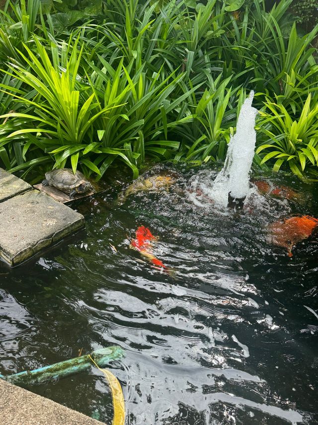 皇家天堂酒店 | 超高性價比之選