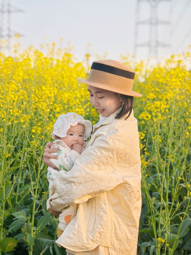 走！去睇深圳第一批油菜花盛開！！！