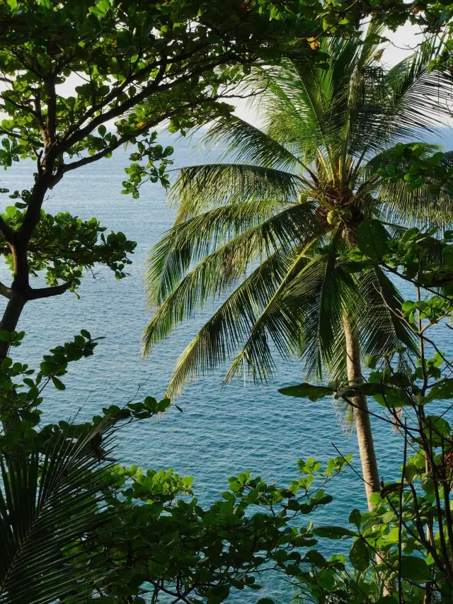 6-Day Thailand Tour: Visa-Free Travel Made Easy!