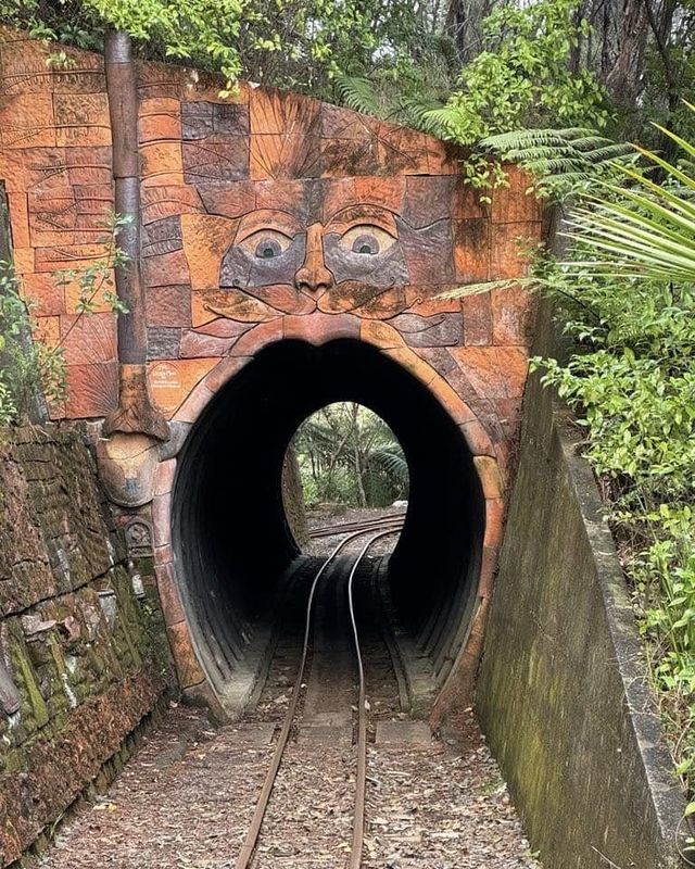 小眾寶藏！穿梭在新西蘭的山林鐵軌間