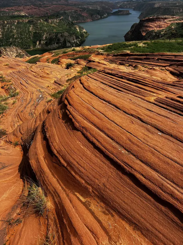 12-Day South Africa Tour: Super Practical Guide