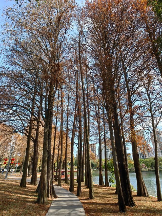 四海公園