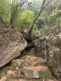 白岩山上白岩寺，立春時節春雨盛