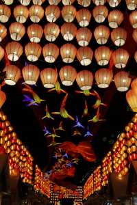 親測鐵像寺水街燈會真沒必要特地去
