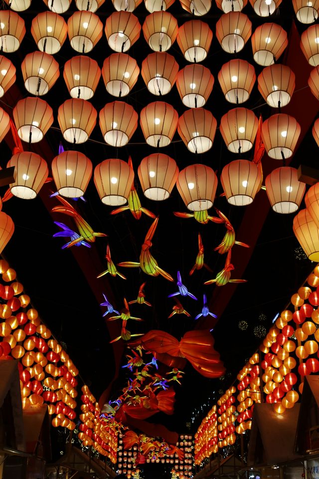 親測鐵像寺水街燈會真沒必要特地去