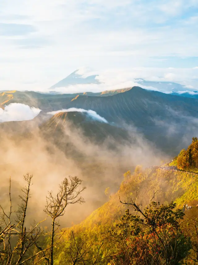 印度尼西亞7日探秘 深林之旅必體驗