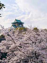 8日深度遊日本 盡享溫泉之旅