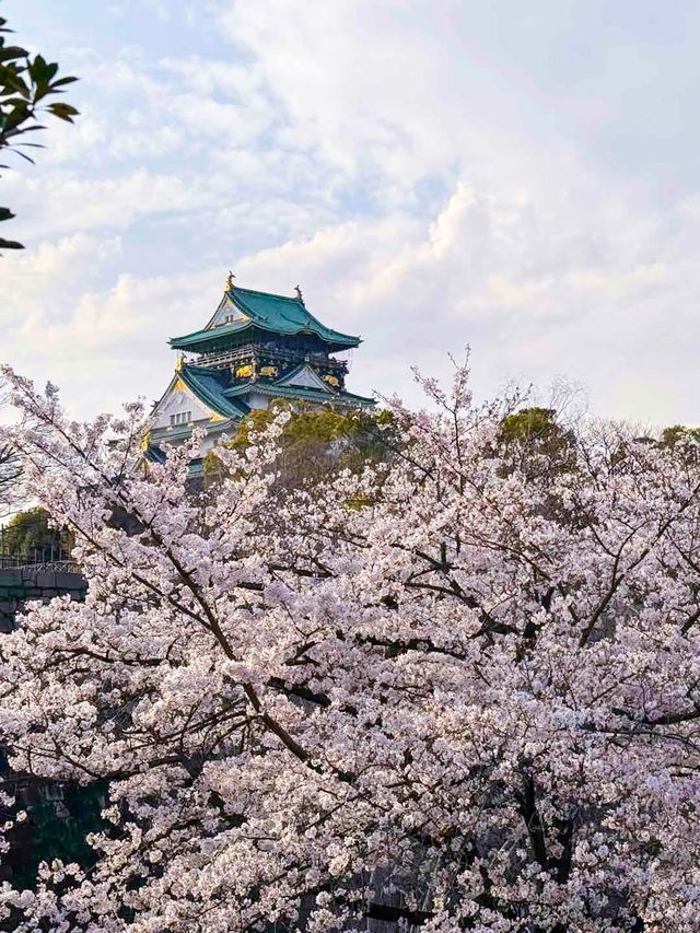 8日深度遊日本 盡享溫泉之旅