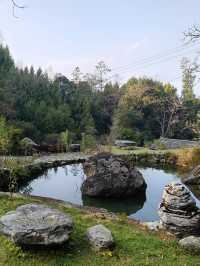 高黎貢山-鳳瑞森林廚房民宿推薦！