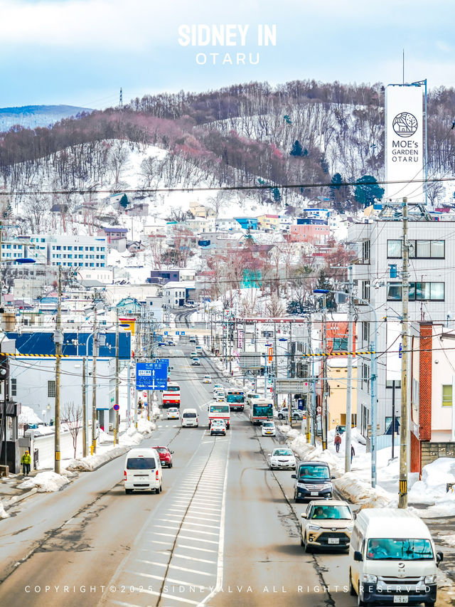 ❄️為什麼2025年雪季還要去小樽？