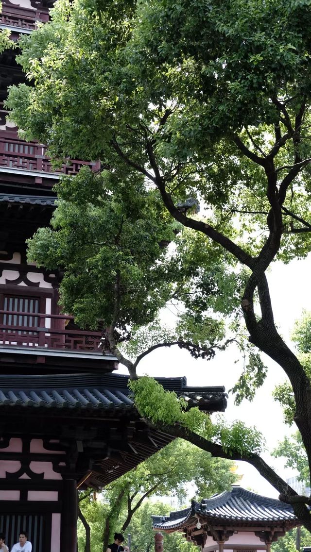 蘇州寒山寺深度旅遊攻略