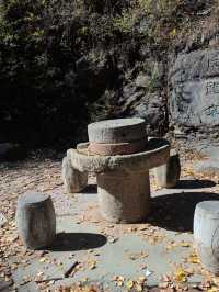 延邊5日深度遊：森林探索 冬天的呼吸感