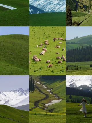 北疆禾木｜神的自留地，每一處都長在審美上