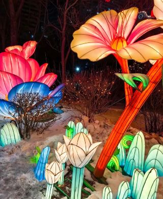 瀋陽皇姑碧塘公園燈會舉行期間