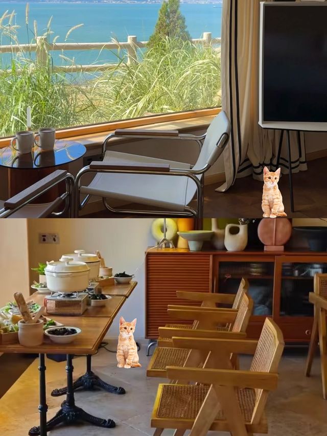 青島海邊小院！入住人生民宿太chill啦