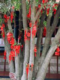 一日解鎖亳州花戲樓，沉浸式穿越明清