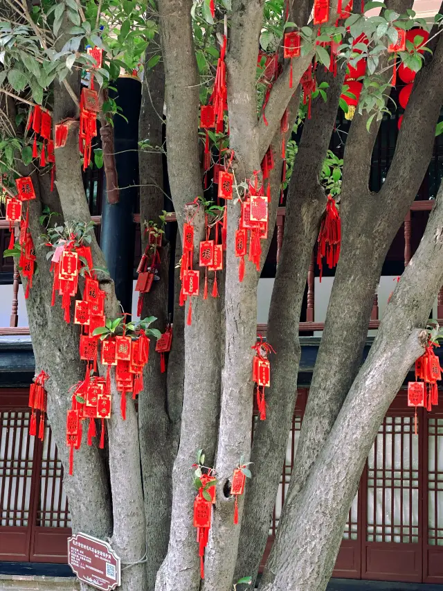 一日解鎖亳州花戲樓，沉浸式穿越明清