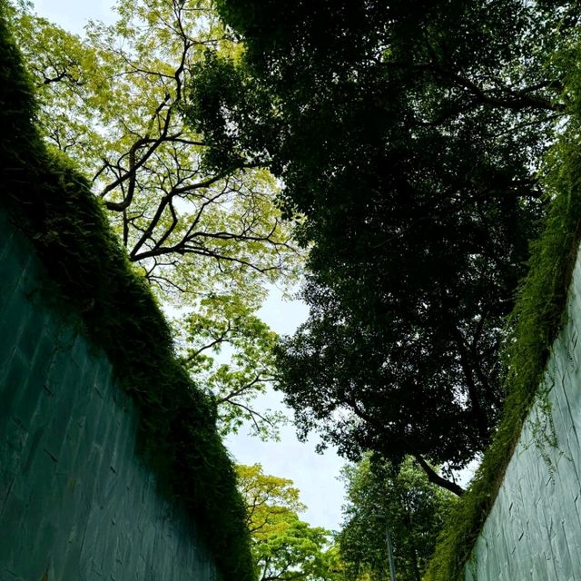 在新加坡，掉進巨型空中花園