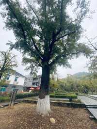 浙江湖州·長興古街-八都岕2/2
