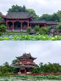 探索廣西貴港園博園，感受園林之美
