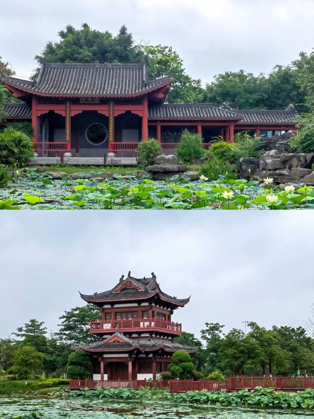 探索廣西貴港園博園，感受園林之美