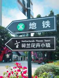 365 days Flower Bloom Town in Shenzhen