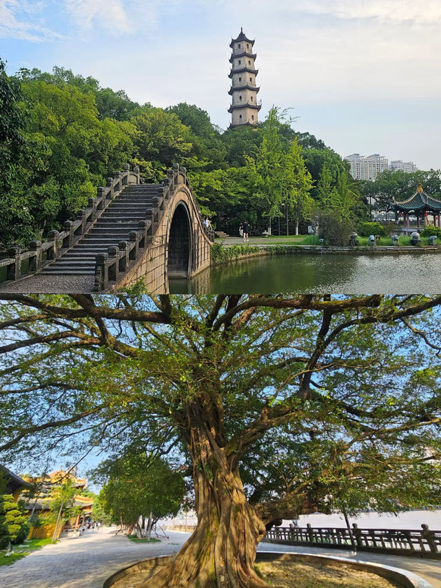 溫州受罪已回，真不建議去