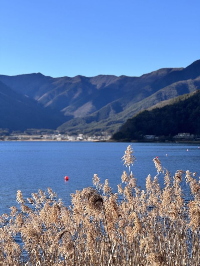 日本2日遊 人均4k輕鬆玩轉