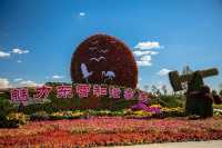 河海交響，魅力東營，奏響旅行新樂章