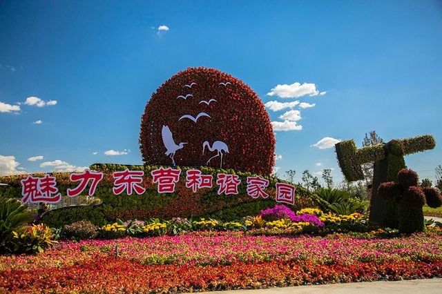 河海交響，魅力東營，奏響旅行新樂章
