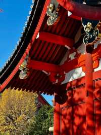 淺草寺 & 雷門｜感受東京最地道嘅傳統氛圍