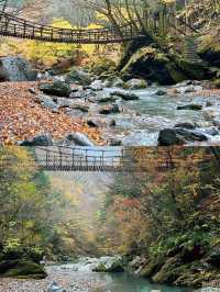 德島：小眾日本的隱世瑰寶