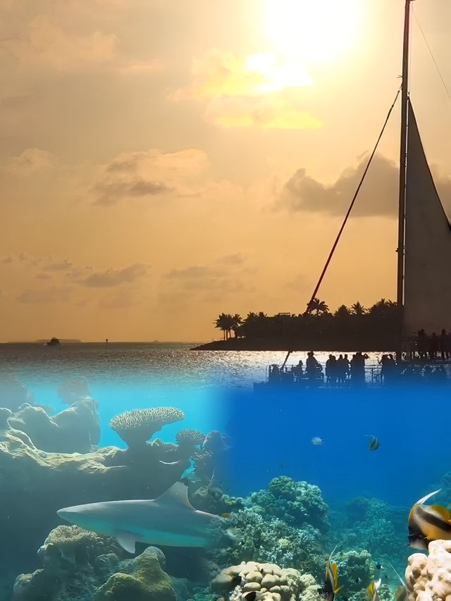 馬爾代夫丹格迪島／夢幻之旅全攻略