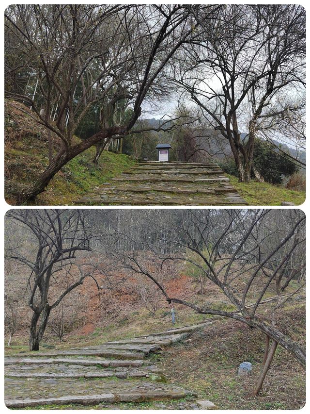 漫步梅關古道，領略千年韻味詩意濃濃