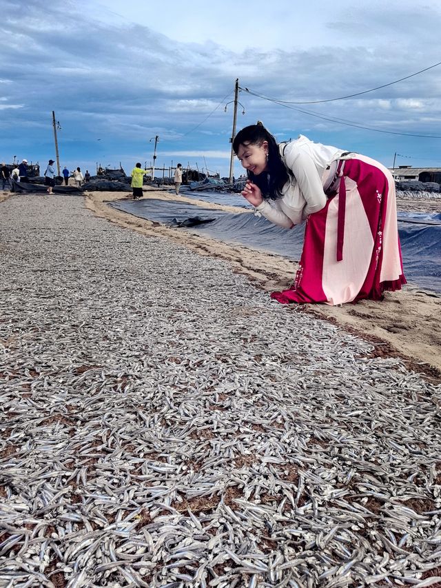 唱着漁光曲，走進原生態的尼甘布魚市！