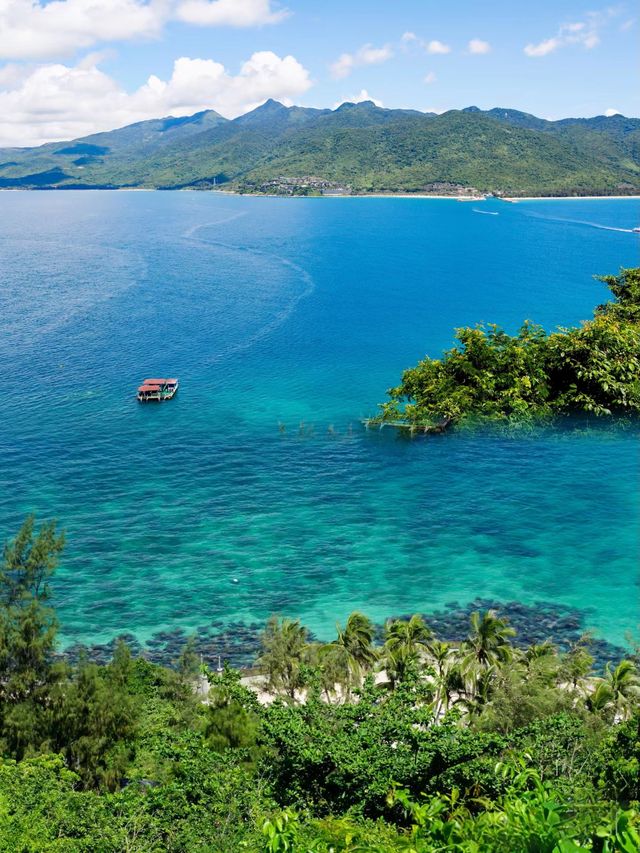 這個季節來分界洲島感受海島的別樣青綠吧
