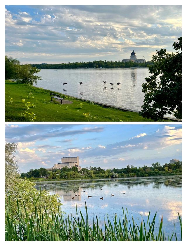 里賈納寶藏漫步，Wascana湖全攻略。