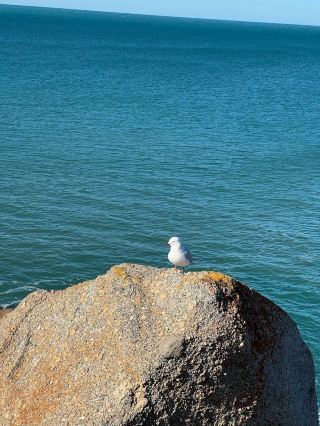 A 5-Day Spring Trip to Australia: Even the Most Beautiful Scenery Isn't Enough!